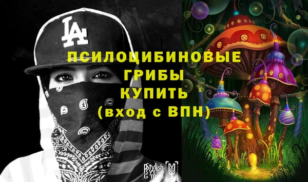 мяу мяу мука Алексин