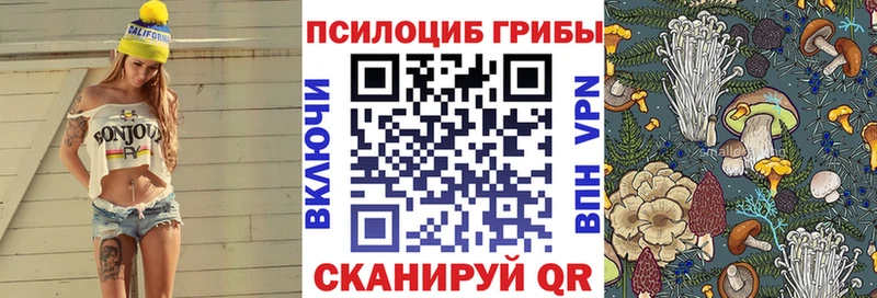 где можно купить Анадырь Псилоцибиновые грибы прущие грибы